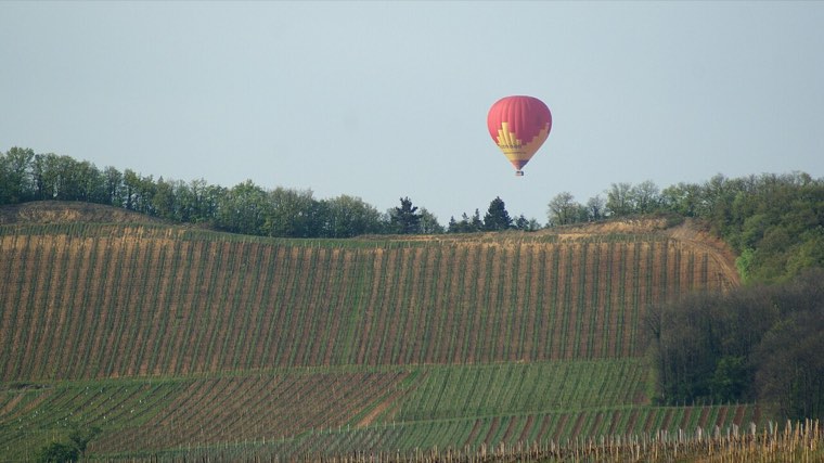 Riquewihr et le vignoble alsacien