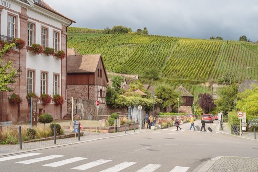 Vignoble alsacien